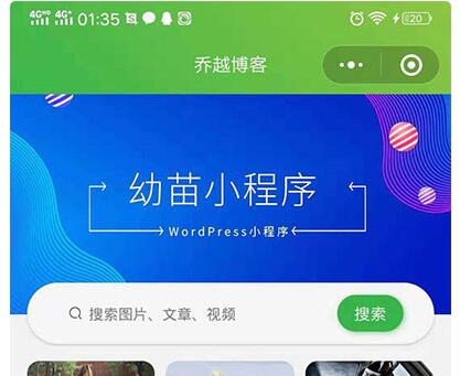 幼苗小程序开源源码 WordPress小程序