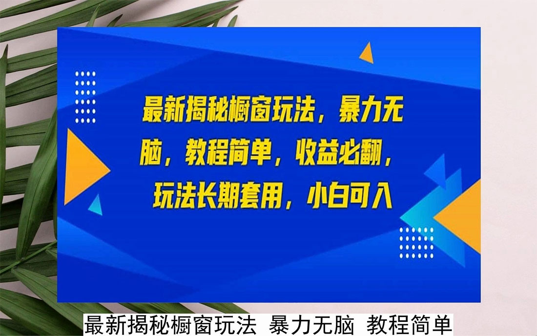 最新揭秘橱窗玩法：暴力无脑，收益必翻，玩法长期套用，小白可入