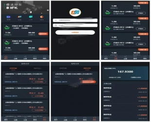 完美运营的充电宝AG理财盘系统源码 带教程