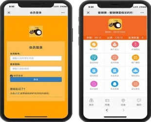 新版蜜蜂赚app 运营级养蜜蜂挂机赚钱与理财分红 带金融投资静态返利与资金盘区块源码