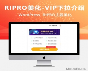 Ripro主题美化-导航栏VIP会员下拉分类介绍