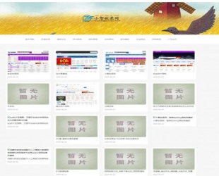 zblog自适应图片网址导航模板