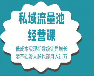 16堂私域流量池经营课：低成本实现指数级销售增长，零基础没人脉也能月入过万