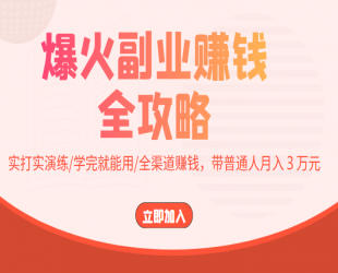 爆火副业赚钱全攻略：实打实演练/学完就能用/全渠道赚钱，带普通人月入3万元