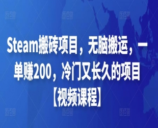 Steam搬砖项目，无脑搬运，一单赚200.冷门又长久的项目【视频课程】