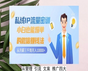 小白也能爆单的微信赚钱法密训：私域IP流量从月薪三千到月入10000+