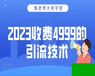 2024年收费4999的引流技术，大有学堂飘老师