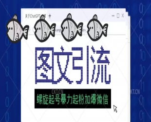 2024年价值1980的图文引流创业粉螺旋起好技术暴力起粉加爆微信