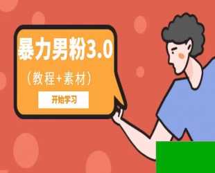 暴力男粉 3.0：高利润的项目「详细教程+素材」