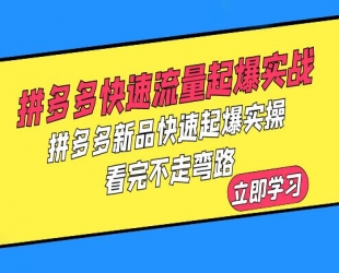 拼多多 · 快速流量起爆实战：拼多多新品快速起爆实操，看完不走弯路