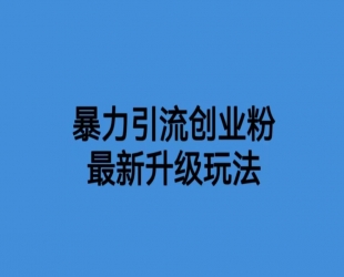 价值1980一千个野路子暴力引流最新升级玩法