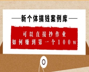 新个体搞钱案例库：可以直接抄作业，如何赚到第一个 100w(共 29 节视频+文档)