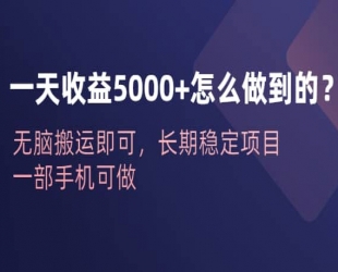 一天收益 5000+ 怎么做到的?无脑搬运即可，长期稳定项目，一部手机可做