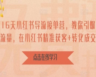 16 天小红书导流接单营：教你引爆流量，在小红书精准获客+转化成交