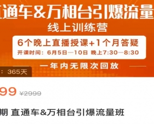 直通车 & 万相台引爆流量班：6 天打通你开直通车 · 万相台的任督二脉