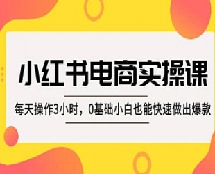 品牌医生操盘手系列课程，小红书品牌营销专项大课，操盘手进阶