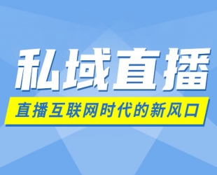 2024最新直播带货成熟运营指南3.0：趋势解析+浏量渠道+千川投放+私域商城