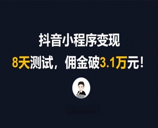 抖音小程序专业变现课，小程序各类玩法运营技巧变现