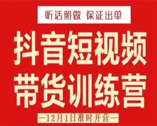 李鲆·短视频带货训练营(第11+12期+13期)，手把手教你短视频带货