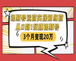 11天视频号变现训练营：从0到1带你快速入门视频号运营