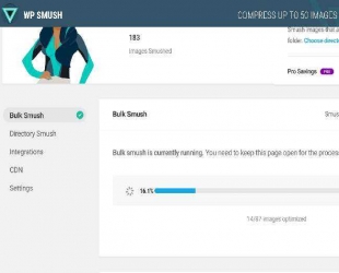 WordPress插件WPSmushProv3.7.0图片上传压缩插件WordPress图像优化插件
